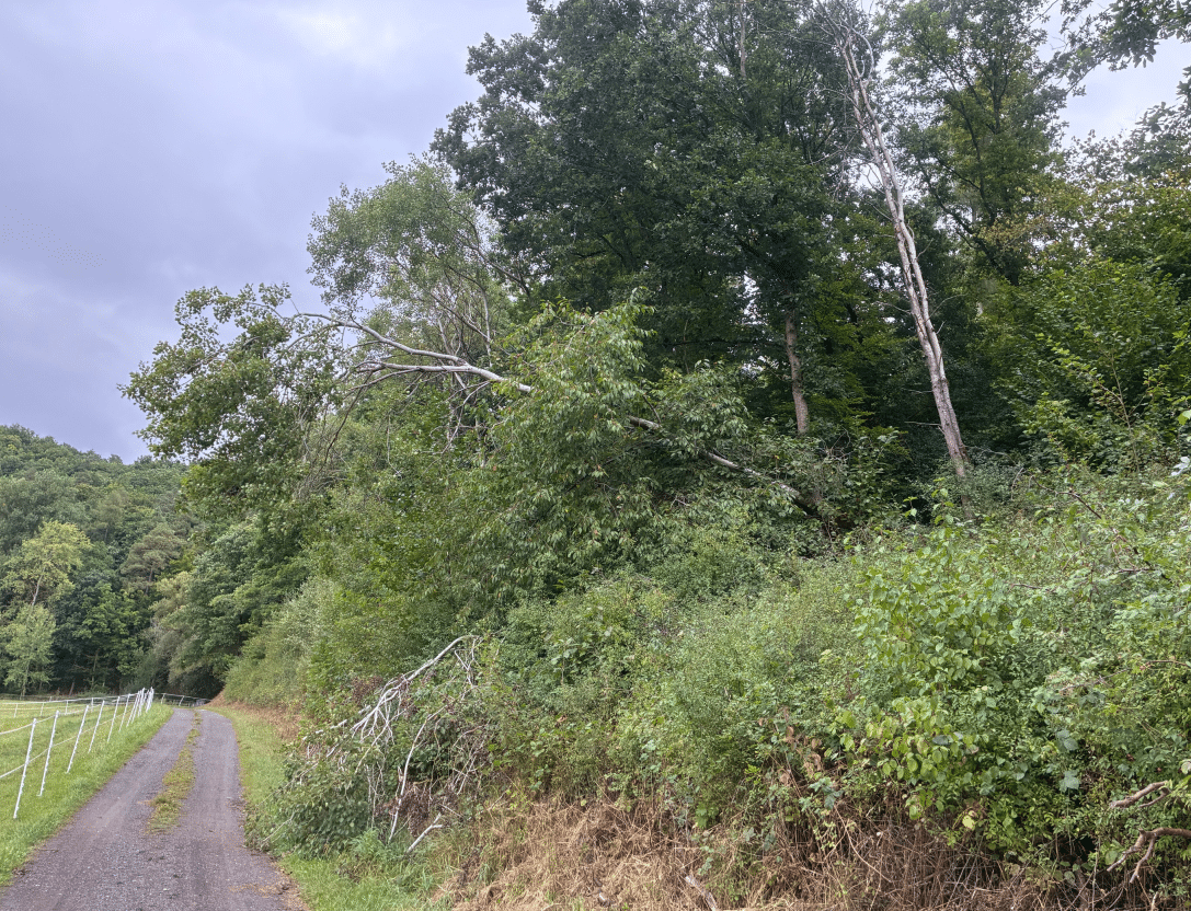 Radweg Ellingerode